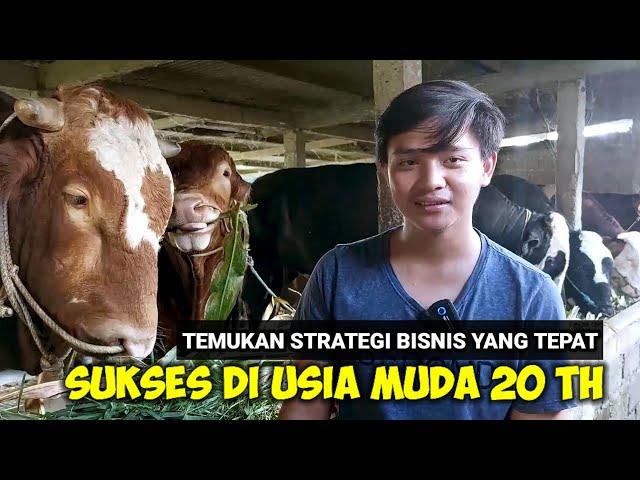 USIA 20 TAHUN MAMPU PELIHARA SAPI PULUHAN EKOR DAN SUKSES KIRIM SAPI HINGGA KALIMANTAN