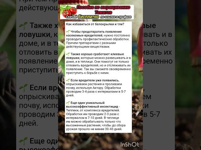 Полезные советы огородникам