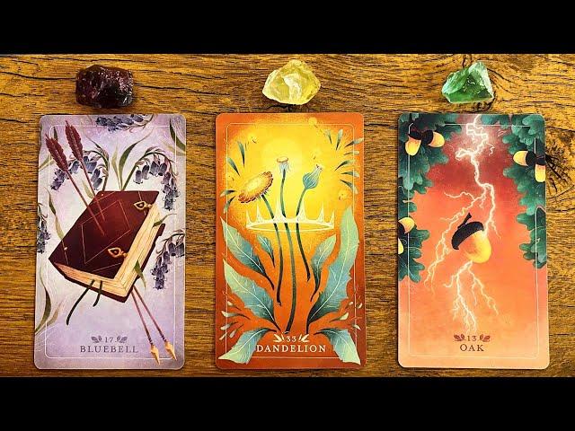 ️YOU WILL SEE THIS RIGHT BEFORE A MAJOR BREAK TROUGH!️| Pick a Card Tarot Reading