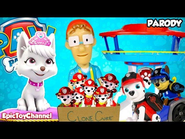 PAW PATROL Nickelodeon Mission Paw & Paw Patrol Sea Patrol Sweetie Clones Marshall Epic Toy Channel