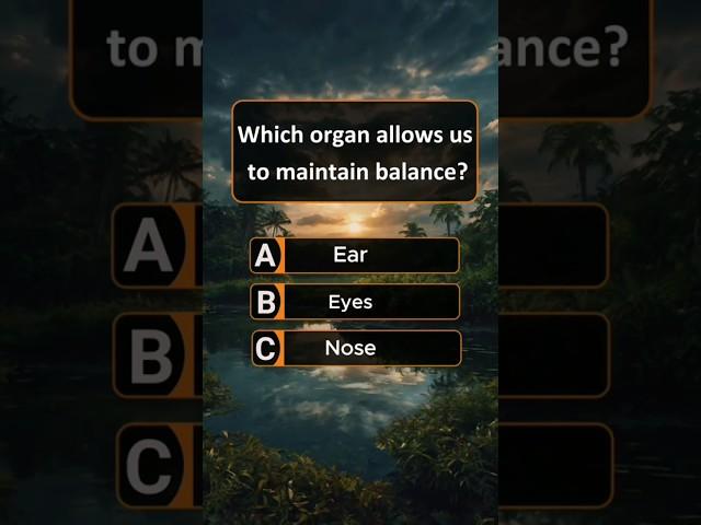 General Knowledge Quiz #shortsfeed #ytshorts #shortsbeta #quiz #youtubeshorts #generalknowledge