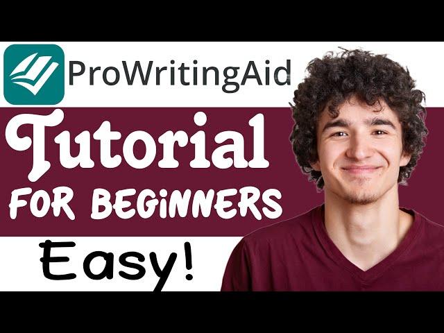 ProWritingAid Tutorial For Beginners (Step-By-Step)