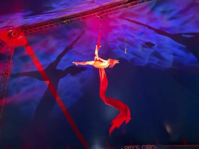 Aerial silks