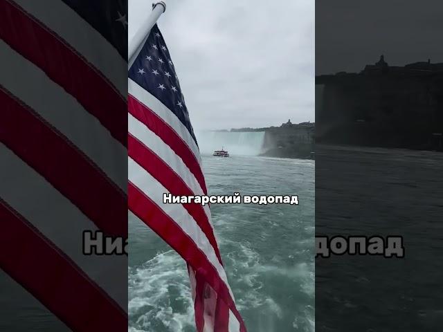 Моя прекрасная жизнь ️ #vilavi #переездвсша