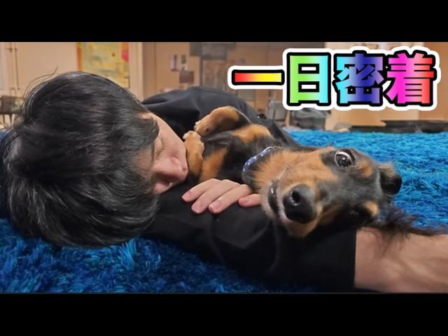 足が短すぎる犬に1日密着してみた【一生犬命】