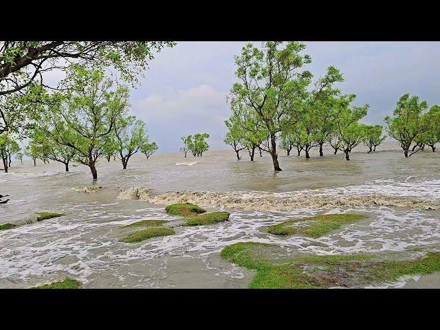 Rainy Day in a Green Sea Beach and Village Rain in Bangladesh