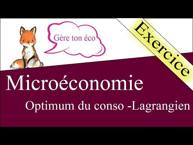 Microéconomie : Résoudre un Lagrangien pour trouver le panier optimal [Exercice]