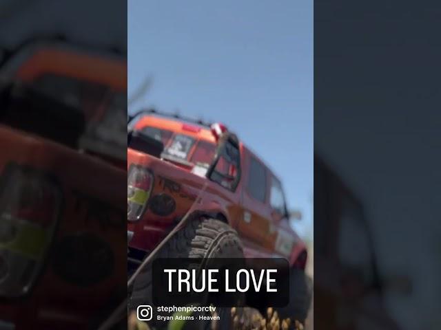 True Love of Toyota