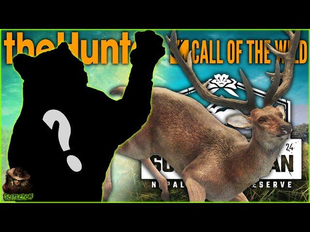 Hunting A Big Diamond & A Rare Tiger In Sundarpatan! Call of the wild