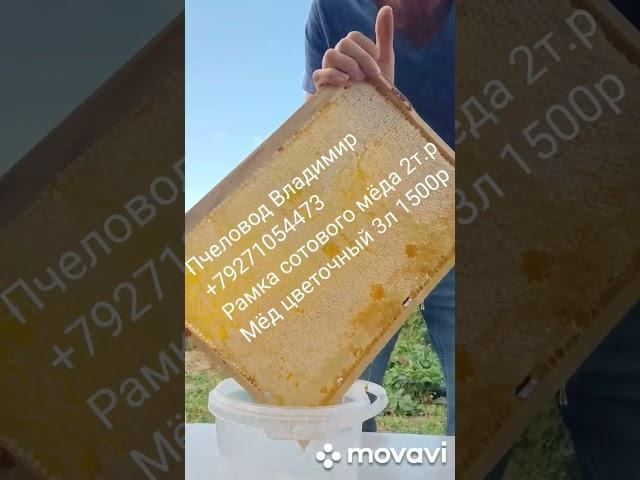 Мёд цветочный 3л 1500р , рамка сотового мёда 2т.р +79271054473
