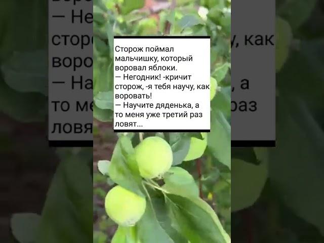 #дети#приколы