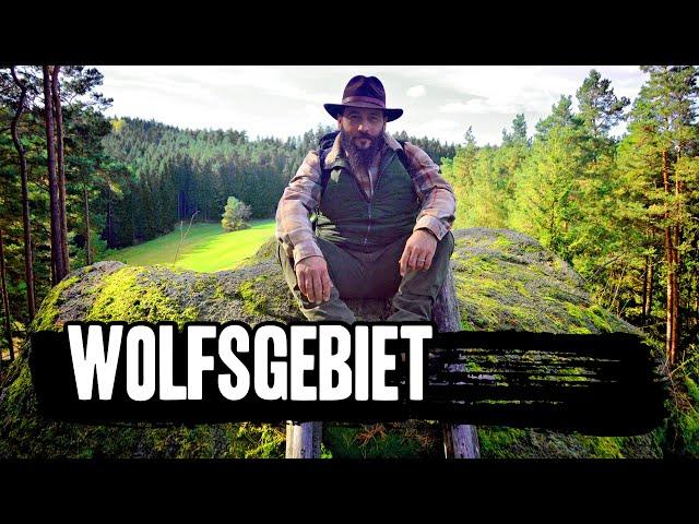 WANDERUNG IM WOLFSGEBIET - Legendäre Kultplätze im Waldviertel