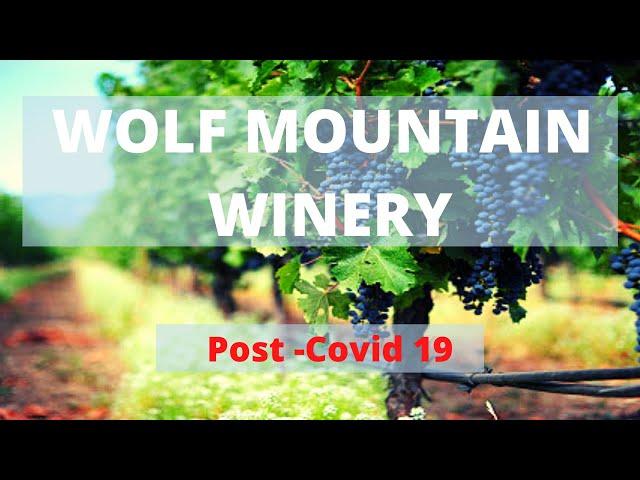 Wolf Mountain || Dahlonega, GA  || Wine Tour & Review || Top 3 (Part 1)