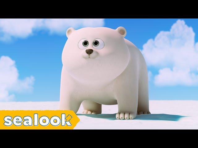 [‍️NEW] How I Met My Baby Polar Bear? | SEALOOK | EP.109