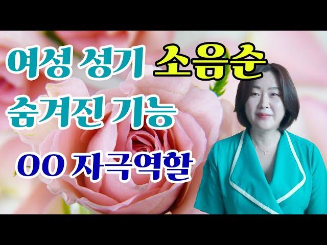 소음순의 숨겨진 유용한 기능