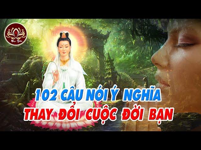 102 CÂU NÓI Ý NGHĨA THAY ĐỔI CUỘC ĐỜI BẠN (RẤT HAY) I LỜI PHẬT DẠY