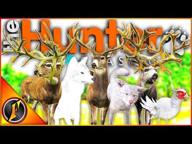 Our TOP 10 TROPHIES in 15 YEARS of theHunter Classic!