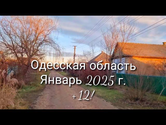 Получила счёт за электроэнергию и ОБАЛДЕЛА! Автострахование подорожало. ПРОВЕРЯЮ СЛИВОЧНОЕ МАСЛО.