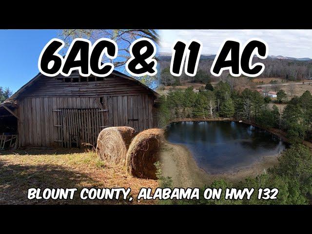 Fishing Pond-Barns-MultiGenerational Acres of Alabama Land For Sale