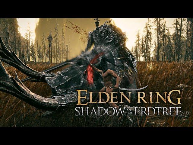 Elden Ring DLC - Commander Gaius No Damage Boss Fight