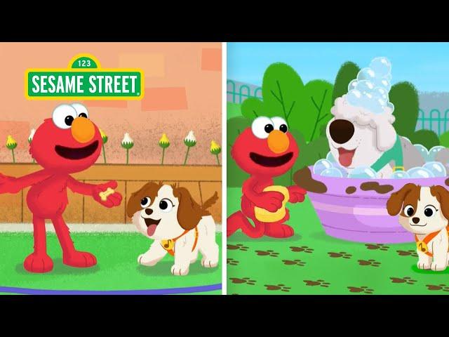 Sesame Street: Help Elmo and Puppy Solve TWO Mysteries!