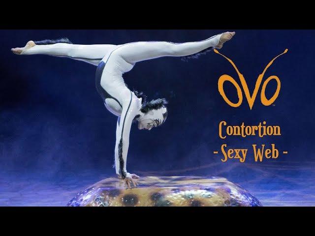 OVO【2013】- Contortion Act