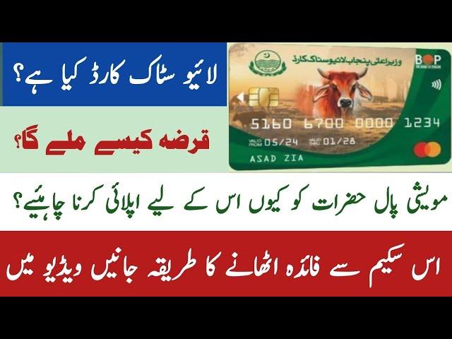 How to apply Punjab livestock card | Dairy farm loan in Punjab | Cattle Loan scheme 2024