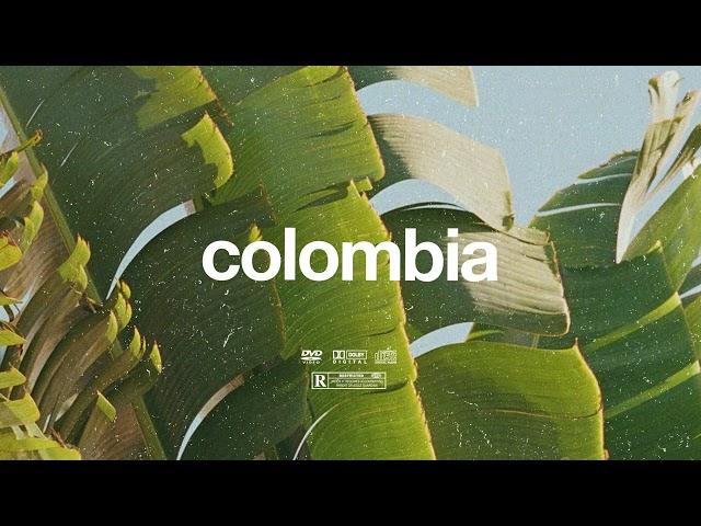 (FREE) | "Colombia" | Burna Boy x Rema x Omah Lay Type Beat | Free Beat | Afrobeat Instrumental 2024