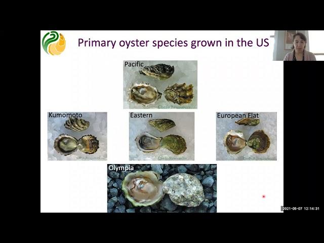 SoMAS - Host Pathogen Interactions in a Changing Ocean: From Disease Emergence to Solutions?