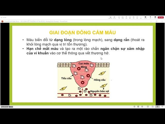 Điều Trị Ngoại - Sự lành vết thương - 31/10/2024
