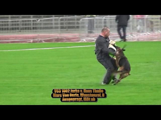 2017 SV BSZS in Ulm TSB part 73 V63 Jarko v. Haus Thalie