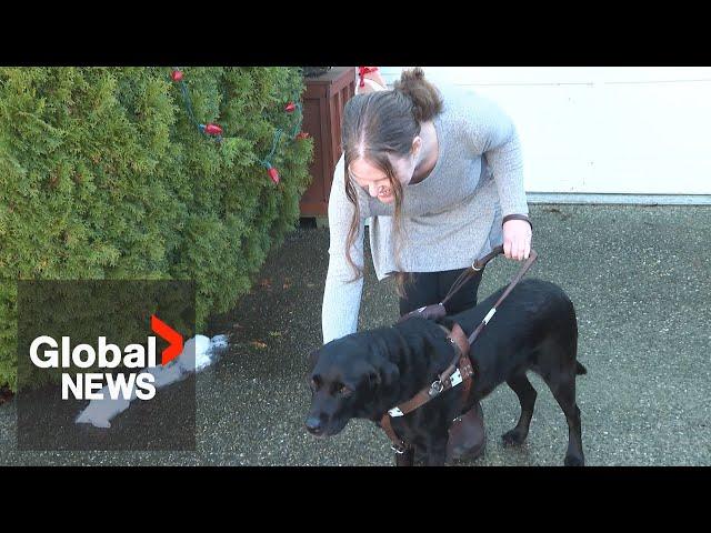 Blind woman denied bus ride in BC, company says she didn't follow policy for service dog