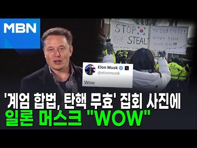 '계엄 합법·탄핵 무효' 집회 사진에 머스크 "와우" [뉴스피드]