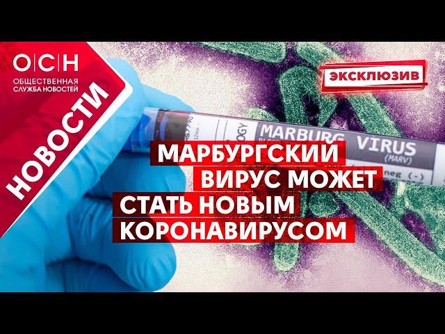 Марбургский вирус может стать новым коронавирусом