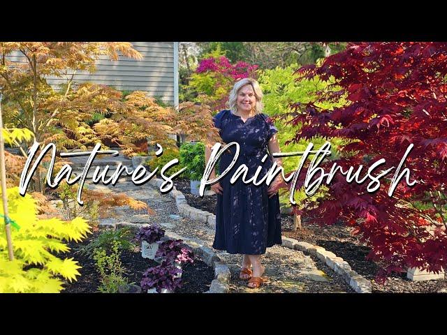 May Garden Tour of my Shade Garden & Japanese Maple Collection