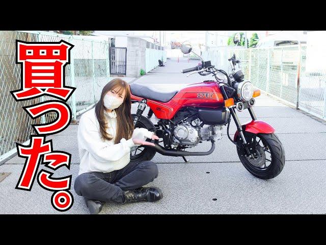 【エフモン】遂にCB-Fみたいなモンキー外装を購入！