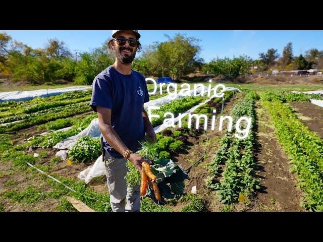 Simple Tips for starting an Organic Farm.