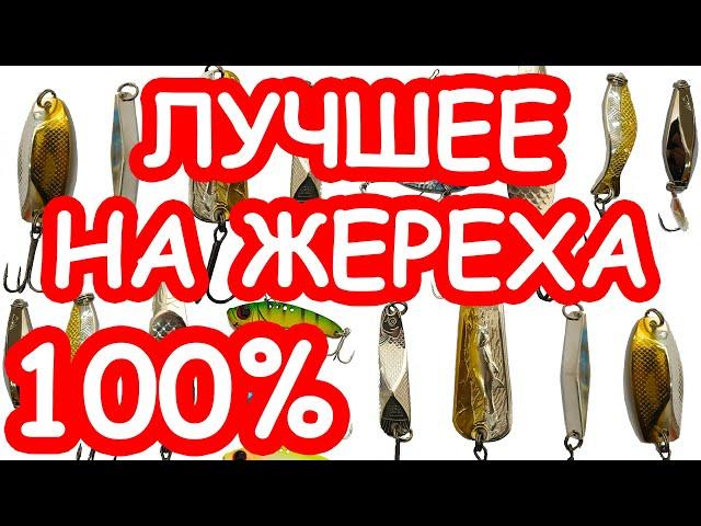 Приманки на жереха. Разговор с маньяком. Ловля жереха на блесну