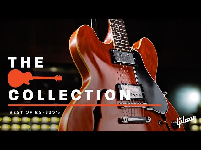 Famous guitarists show you their favorite Gibson ES-335 Guitars