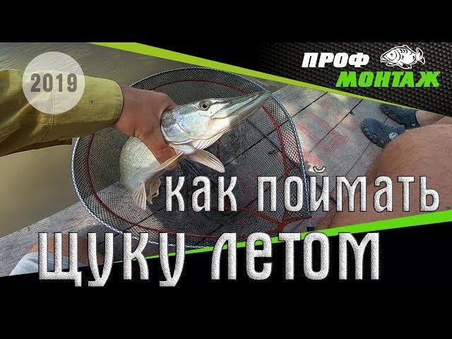 Как поймать щуку на бюджетный силикон? | Ловля щуки это ПРОСТО | Рыбалка со спиннингом