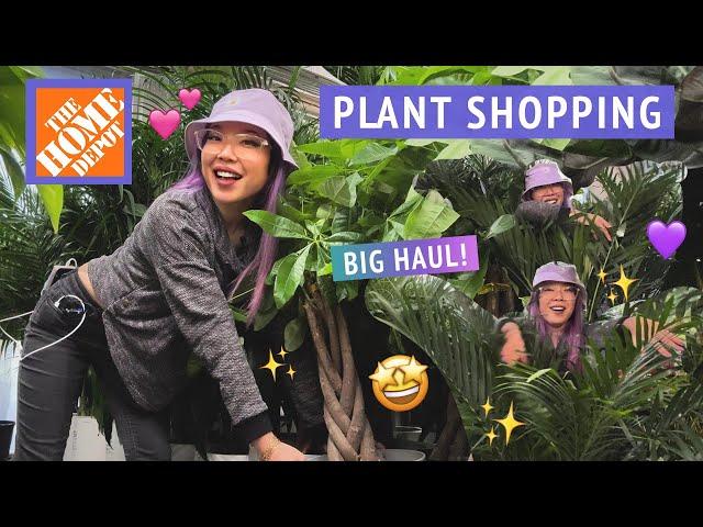 I NEED MORE PLANTS!!  Let's go house plant shopping at Home Depot