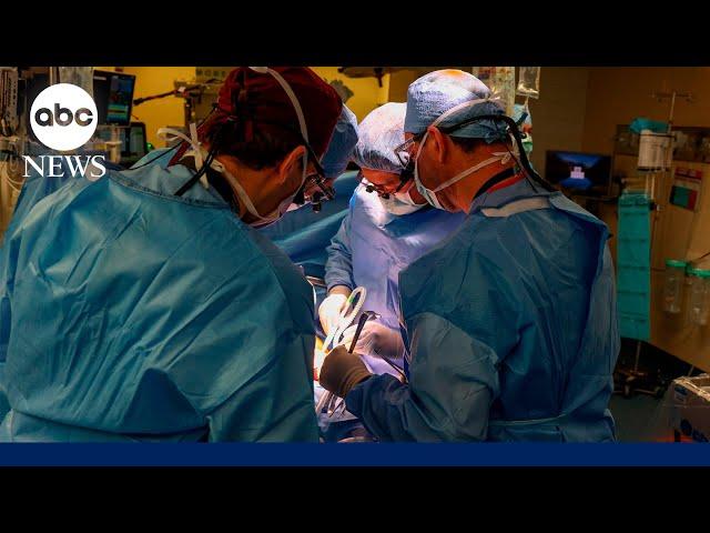 Surgeons transplant world's 1st genetically edited pig kidney into living human