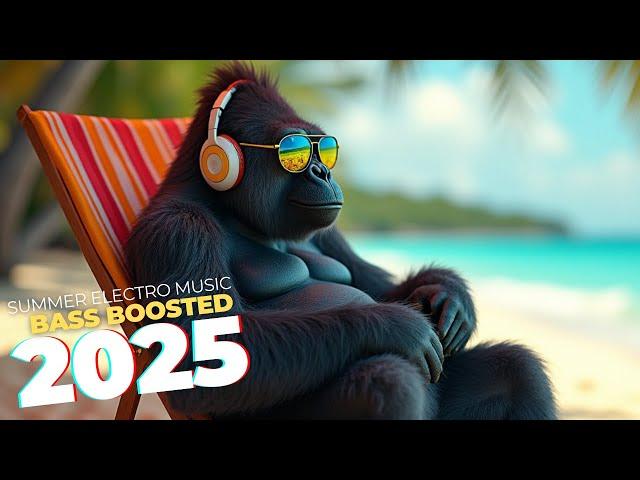 BASS BOOSTED SUMMER VIBES  | Electro Music Anthems