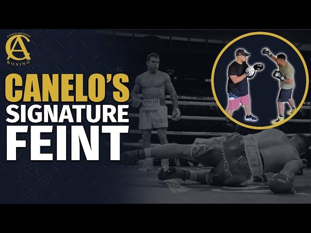 How To Do Canelo Alvarez Signature Feint! [Featuring Dyah Davis]