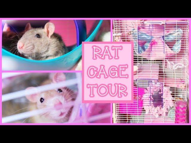 Rat Cage Tour 2018 (Pink & Girly)