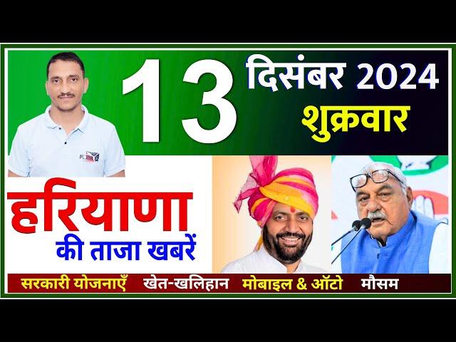 13 December 2024 Haryana News || हरियाणा की ताजा खबरें || Haryana Live News || CWB Hindi News