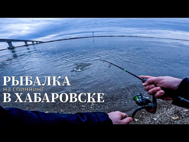 РЫБАЛКА НА СПИННИНГ В ХАБАРОВСКЕ. РЫБА ЕСТЬ!