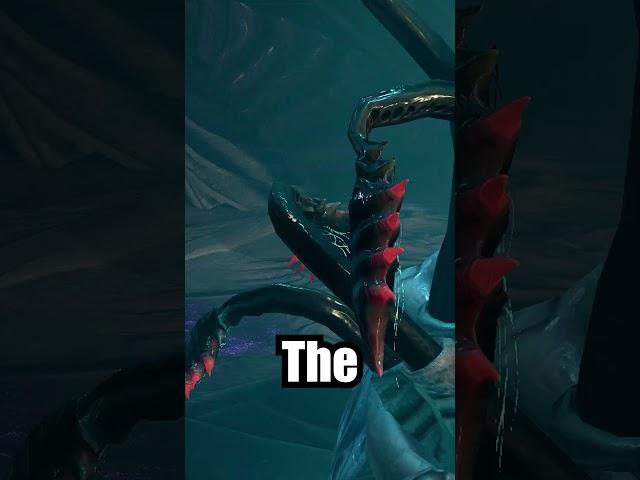 The Different Types of BG3 Players