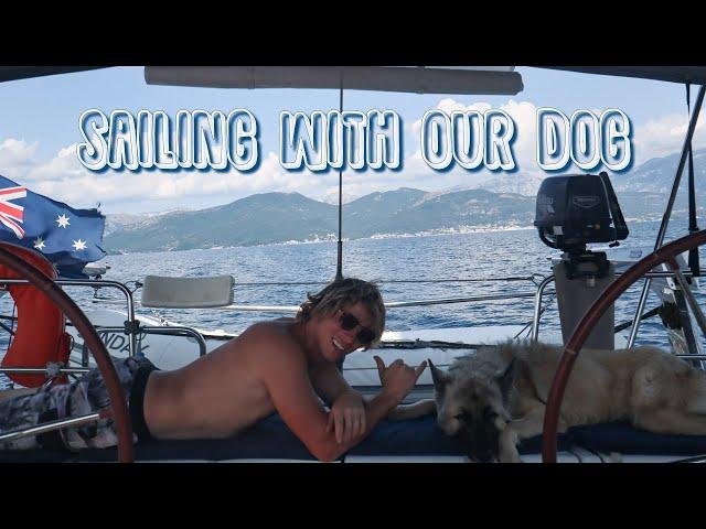 CRUISING LIFE with our German Shepherd dog | Life on a sailboat | Sailing Sunday Ep. 20