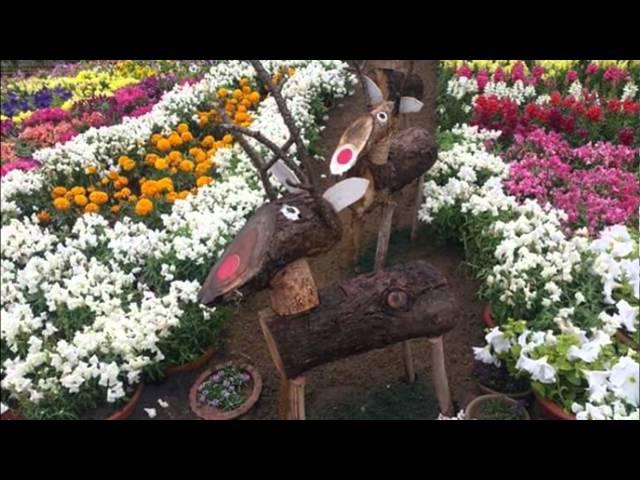 Spring festival 2017 ideas, Flower show, Flower display, floral decoration, Flower arrangement